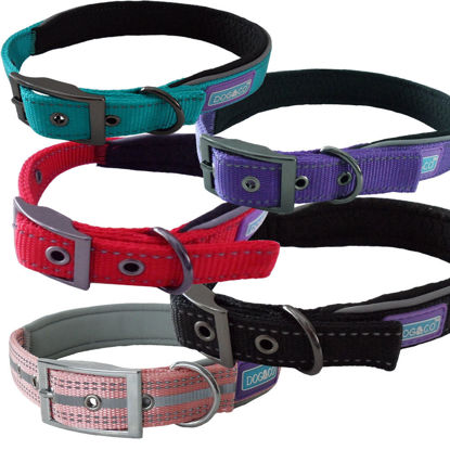 Picture of Reflective Padded Dog Collar