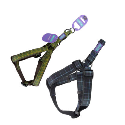 Picture of Country Check Harness