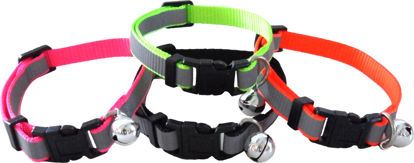 Picture of Reflective Neon Cat Collar