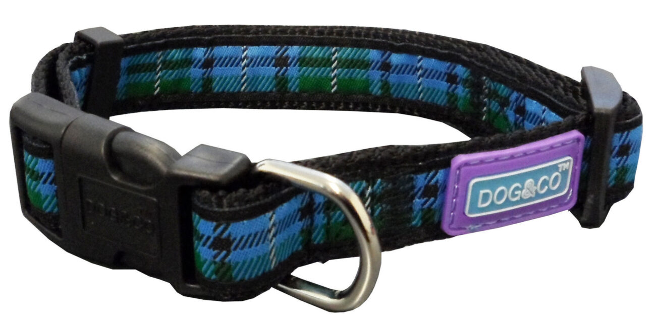Tartan Dog Collar Blue