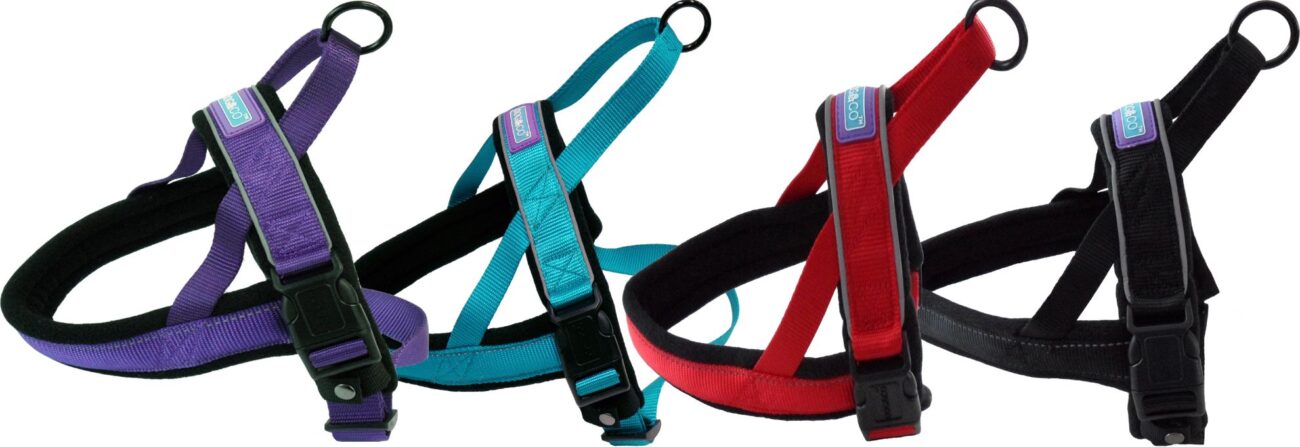 Reflective Padded Harness