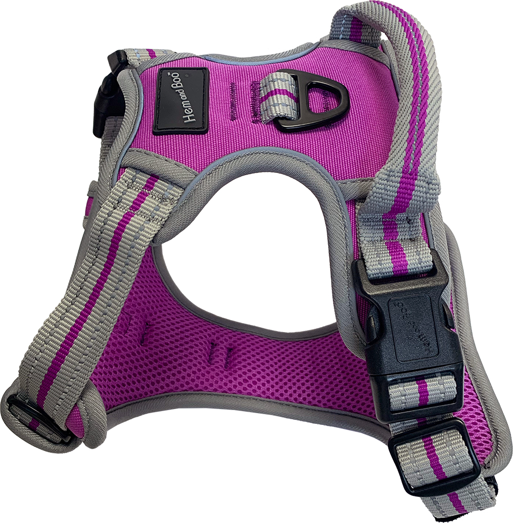 Sports Dog Harness – No Pull Everyday Walking Harness – Reflective & Adjustable - Medium, Purple