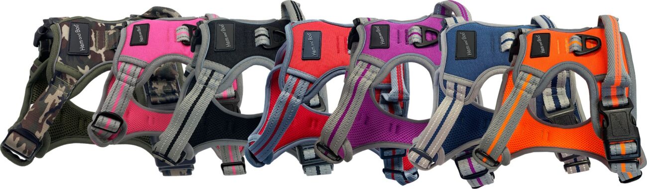 Sports Harness Reflective