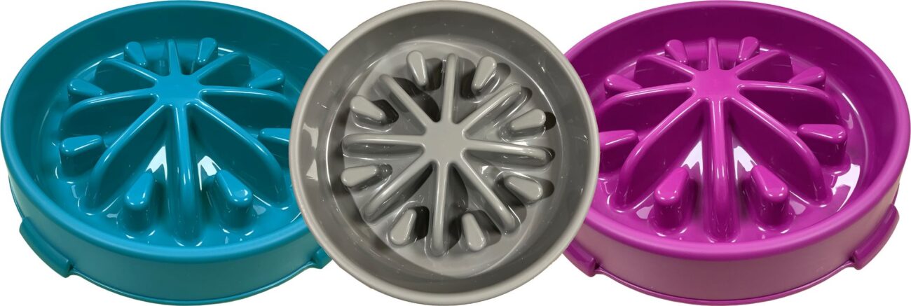 Slow Feeding Pet Bowl