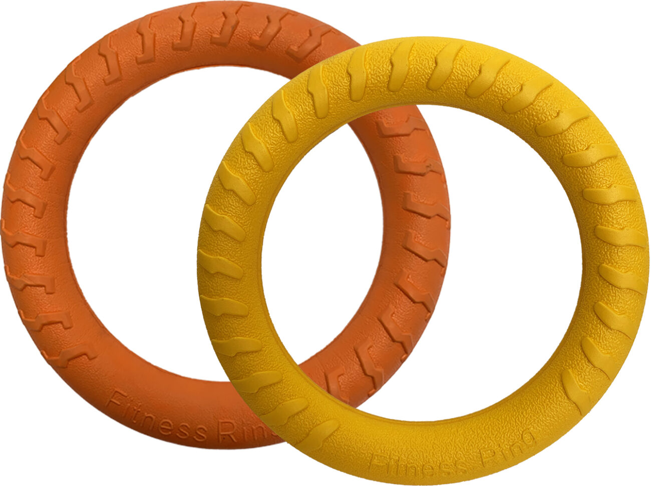 Floating Ring Dog Toy