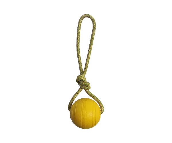 Floating Ball with Rope Dog Toy - Yellow